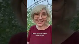 10 июля 2024 г.