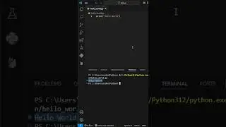 Python on Speed ⚡: 2. Hello World Program in Python