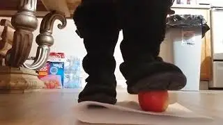 Boots Stomp, Smash, & Trample Juicy Apple ASMR/ Giantess Fruit Crush