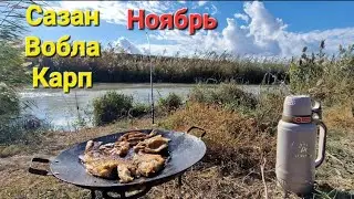 Поймали рыбу и приготовили. Рыбалка в ноябре