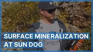 Surface Mineralization at Sun Dog