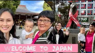 Hachiko Memorial Statue | Shibuya Crossing | Meiji Jingu | Japan life | tokyo living life