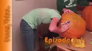 Funny Video - # 1  | Смешное видео - # 1