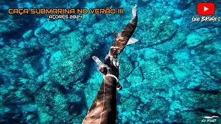 Caça submarina no Verão III -  Açores 2024