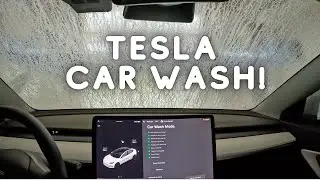 Tesla Car Wash - Dirty White Interior!