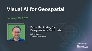 Visual AI for Geospatial: Earth Monitoring for Everyone with Earth Index