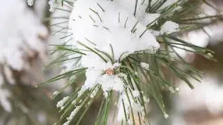 Under the Weather - Day After the Snowstorm