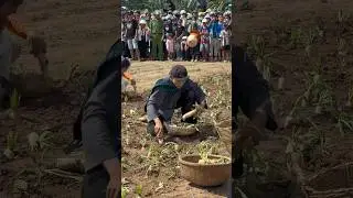 Một ngày thử làm nông dân chính hiệu của Isaac trong Hành Trình Rực Rỡ