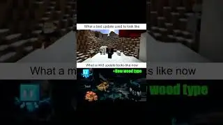 Minecraft Memes 321 #Memes #Shorts 2596