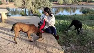 خرجت صايمه عند ريبي وعرضو عليا ناس لي ساكنين تما فطرت معاهم ❤️❤️🐾🐾