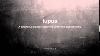 What does lupus mean