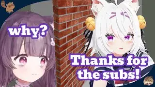 She donowalled her own friend ON stream