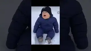27 июля 2024 г.