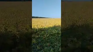 31 августа 2024 г.