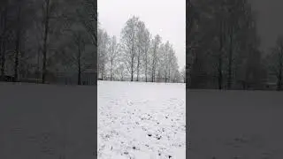 1 ноября 2024 г.