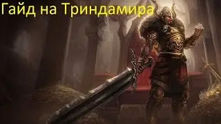 Лига Легенд гайд на Триндамира