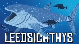 Leedsichthys | The Giant POG Fish of the Jurassic