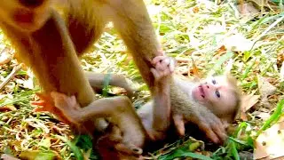 Baby Lily seems to tell mama Libby don't leave her alone