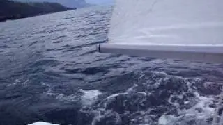 mainiwal amin n Ueli from Swiss on sailing