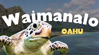Welcome to WAIMANALO - Hawaii | Life in Waimanalo