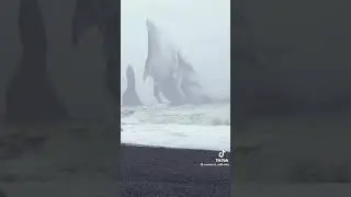 #monster