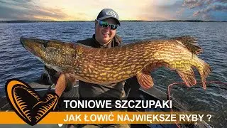 Damian Doda zdradza PATENTY na TONIOWE SZCZUPAKI | Szczupak 120cm+ złowiony w Polsce!