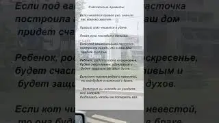 Счастливые приметы 