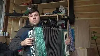 Васильки импровизация на баяне