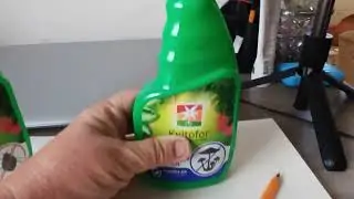 Як я доглядаю за трояндами!