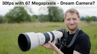 Sony A7R VI - Does It Make the A1 II Obsolete? Bird Photography Review