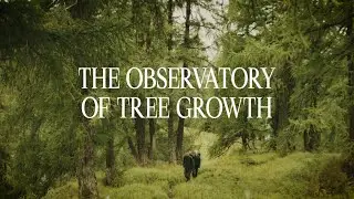 Lötschental - the observatory of tree growth