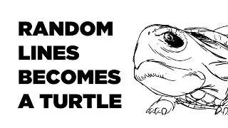 Random Lines drawn into a turtle For Video Day 162