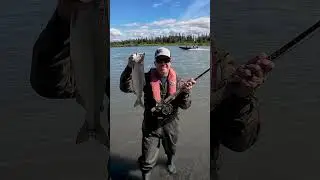 Fishing the Salmon Run - Kenai River Alaska #alaska #fishing #salmon