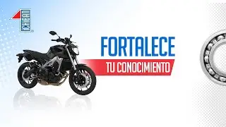 Webinar rodamientos moto Ichiban