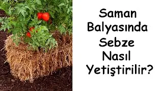 Saman Balyasında Sebze Nasıl Yetiştirilir?