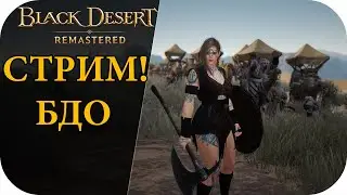 СТРИМ ПО БДО! новичок в 2021 |Black Desert Remastered #25