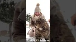 БАРСИК И ТАНЯ 