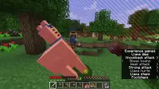 Minecraft But the World Border is Chasing me