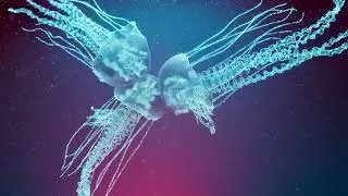 TyFlow Jellyfish
