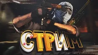 КС2/CS2 Поднимаем ело с братиками