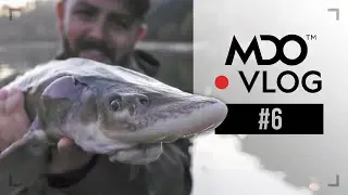 Lake Sturgeon Fishing the Wisconsin Dells! - MDO vlog #6