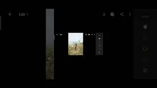 Cinematic colour grading Old Dark Brown Tone in Lightroom mobile tutorial Part 1