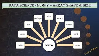 Array Shape and Size in numpy