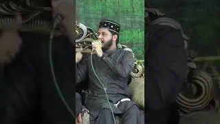 New Shorts Saqlain Rasheed