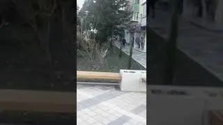 Зимой в Туапсе цветут цветы.