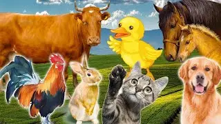 Let's Learn The Names Of Family Animals||Cow,horse,dog,cat#animals#animalsounds#kidstown