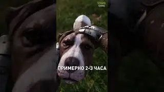 Kingdom Come: Deliverance 2 уже скоро