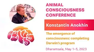 The emergence of consciousness  completing Darwin’s program  Konstantin Anokhin