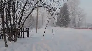 - 45 градусов. Никольск Вологодская обл. 09 января 2023