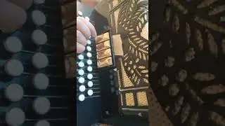 Я гармошечку в руки возьму...))) Обучение, цифры для гармони, 89277382068